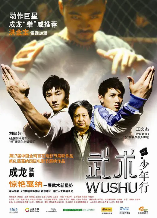 【动作片】武术之少年行